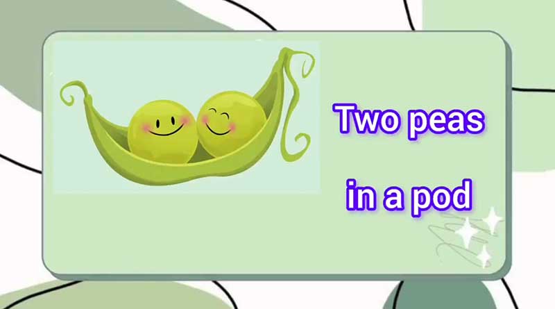 two peas  in a pod