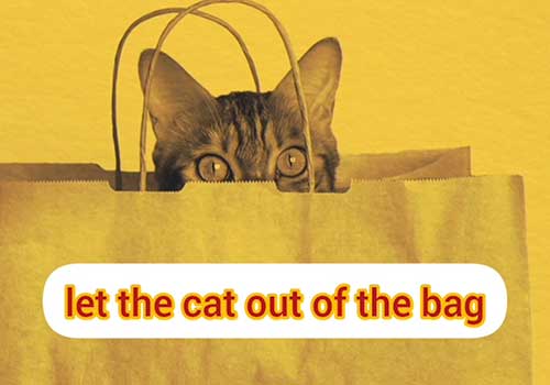 افشای راز با اصطلاح "Let the Cat Out of the Bag" در زبان انگلیسی