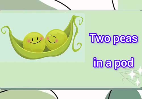 آموزش اصطلاح Two Peas in a Pod