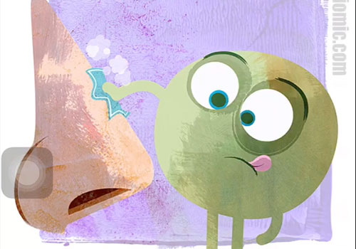 اصطلاح "It’s under your nose" در زبان انگلیسی و کاربرد آن