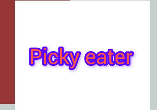 به کی میگیم picky eater