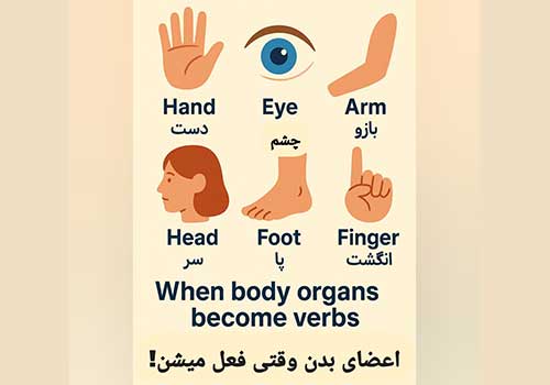 آموزش کاربرد افعال برگرفته از اعضای بدن در زبان انگلیسی